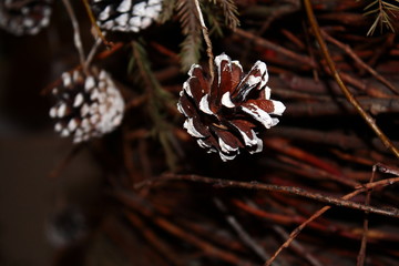 Panel of twigs and cones
