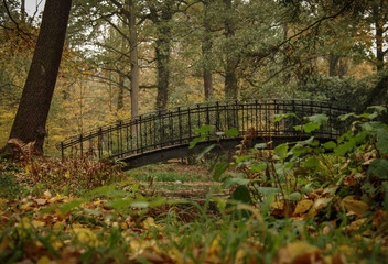 mostek w parku © Henryk Niestrój