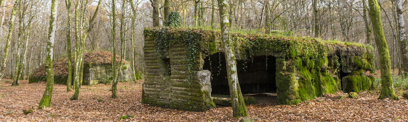 Concrete buidlings in the forest at Camp Marguerre, world war I site near Verdun