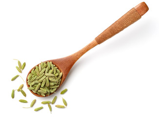 dried fennel seeds in the wooden spoon, isolated on white, top view