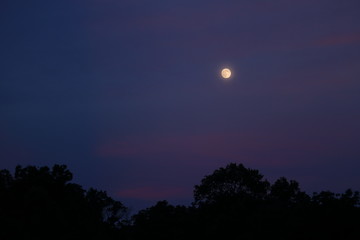 The full moon shines in a sky turned pink and blue during sunset on a summer evening.