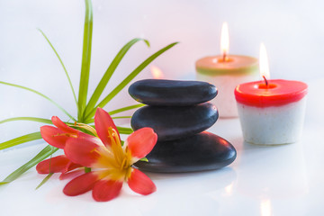 Fototapeta na wymiar Beautiful spa compostion with black massage stones, red flowers and burning candles on white glossy background