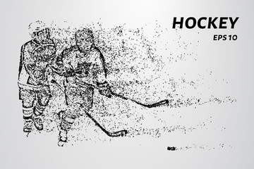 Fototapeta na wymiar Hockey from the particles. Hockey consists of circles and points. Vector illustration.