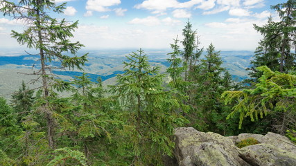 Fototapeta na wymiar Carpathian Mountains, Mount Sinyachka