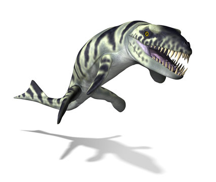 Dakosaurus Prehistoric Undersea Carnivore