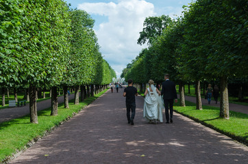 Fototapeta na wymiar The bride and groom walk in the green garden in Peterhof Park in St. Petersburg.