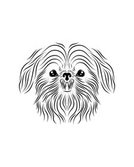 Shih Tzu dog line art, tribal. Freehand vector illustration.
