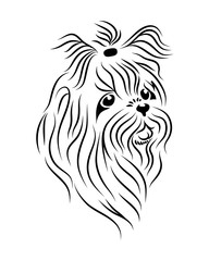 Shih Tzu dog line art, tribal. Freehand vector illustration.