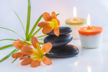 Obraz na płótnie Canvas Beautiful spa compostion with black massage stones, red flowers and burning candles on white glossy background
