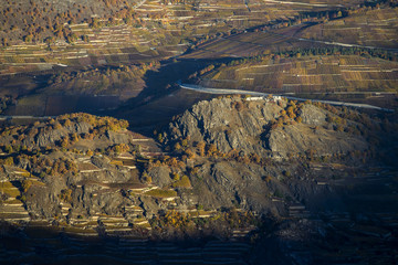 Aerial landscape of the north side of the Rhone River, showing vineyards in the Valais kanton (Wallis) near the city of Sion in an autumn sunrise, Switzerland