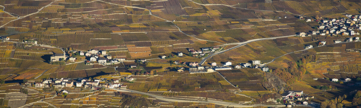 Aerial landscape of the north side of the Rhone River, showing vinyards in the Valais kanton (Wallis) near the city of Sion in an autumn sunrise, Switzerland