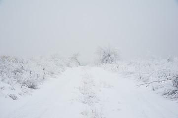 Fototapeta na wymiar Dirt road in the winter