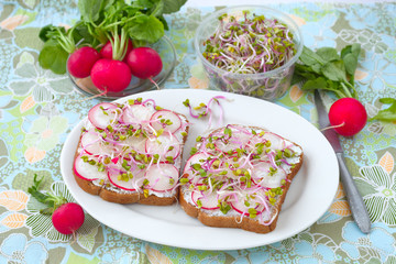 Butterbrote mit Radieschen- Scheiben
