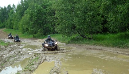 Quad adventure in dirty mud © Comee