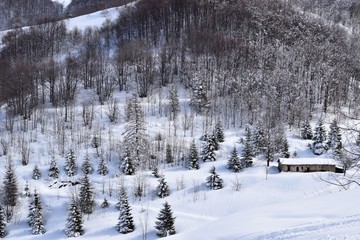 Casa sotto la neve e alberi innevati a Limone Piemonte in Italia