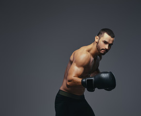 Fototapeta na wymiar Studio portrait of a shirtless brutal athletic boxer wearing black boxing gloves on gray background.