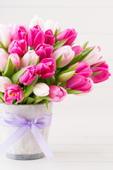 Pink tulip on the white background. Easter background