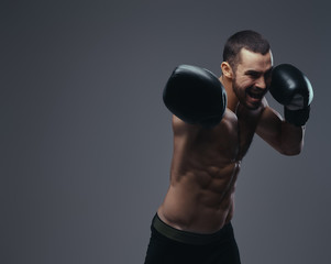 A brutal shirtless caucasian sportsman in boxing gloves training isolated on a gray background.
