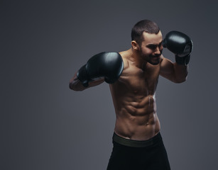 A brutal shirtless caucasian sportsman in boxing gloves training isolated on a gray background.