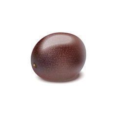 Passion fruit isolated on white background vector realistic illustration