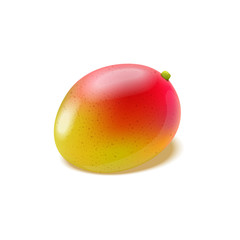 Ripe mango fruit isolated on white background. Vector realistic illustration