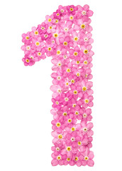Arabic numeral 1, one, from pink forget-me-not flowers, isolated on white background