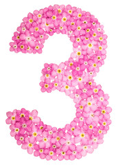 Arabic numeral 3, three, from pink forget-me-not flowers, isolated on white background