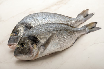 Two fresh raw dorada fishes on the bright background.