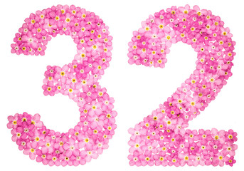 Arabic numeral 32, thirty two, from pink forget-me-not flowers, isolated on white background