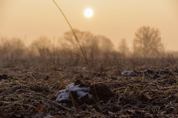 Sunrise in winter on a big filed. Close-up of the ground 