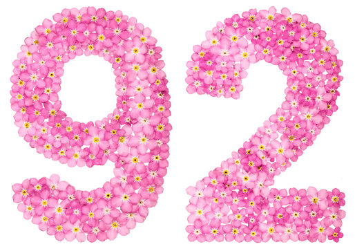 Arabic numeral 92, ninety two, from pink forget-me-not flowers, isolated on white background
