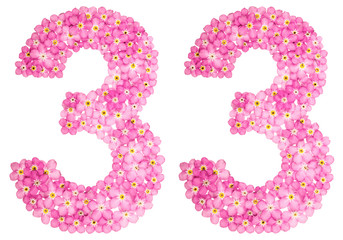 Arabic numeral 33, thirty three, from pink forget-me-not flowers, isolated on white background