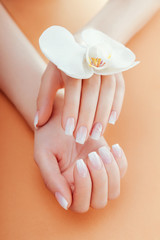 Ombre french manicure with orchid on orange background. Woman with white ombre french manicure holds orchid flower © maryviolet