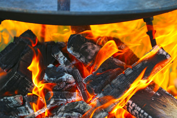 in the nature grill on a frying pan