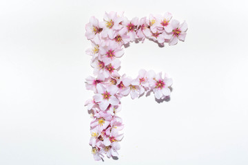 Fototapeta premium Letter of the English alphabet from flowers