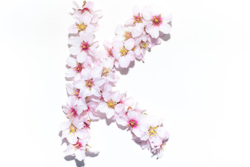 Obraz na płótnie Canvas Letter of the English alphabet from flowers