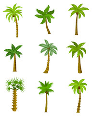 Set of palm trees isolated on white background, vector illustration