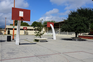 Public school sports