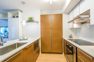 Modern, bright, clean, kitchen interior with stainless steel appliances and wooden cabinets in a luxury house.