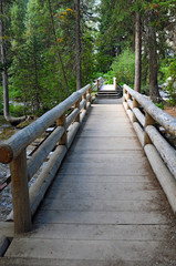 Hidden Falls Trail Grand Tetons Wyoming