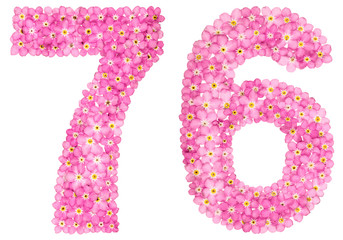Arabic numeral 76, seventy six, from pink forget-me-not flowers, isolated on white background