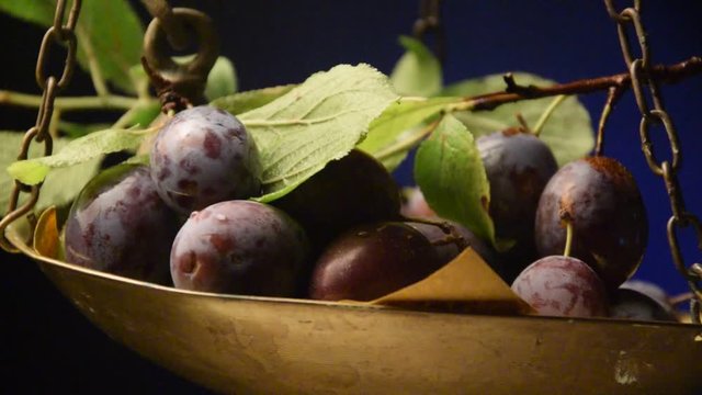 шљива Prugne слива Pflaume Erik Prune Ciruela video Plum luumu