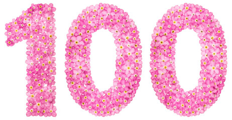 Arabic numeral 100, one hundred, from pink forget-me-not flowers, isolated on white background