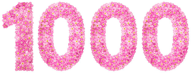 Arabic numeral 1000, one thousand, from pink forget-me-not flowers, isolated on white background
