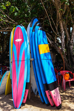 Surfing boards standing on the beach