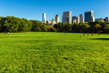 Obraz premium Green lawn in Central Park, New York