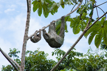 Hanging out © Ali