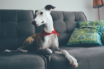 Processed with VSCO with e8 preset