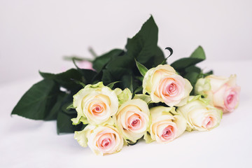 Romantic blooming tender cream roses close-up. Bouquet for beloved only. Concept for all festive events, especially for wedding, birthday, Mothers's Day