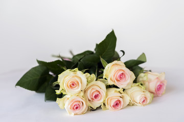 Romantic blooming tender cream roses. Bouquet for beloved only. Concept for all festive events, birthday, Valentine's Day. Copy space